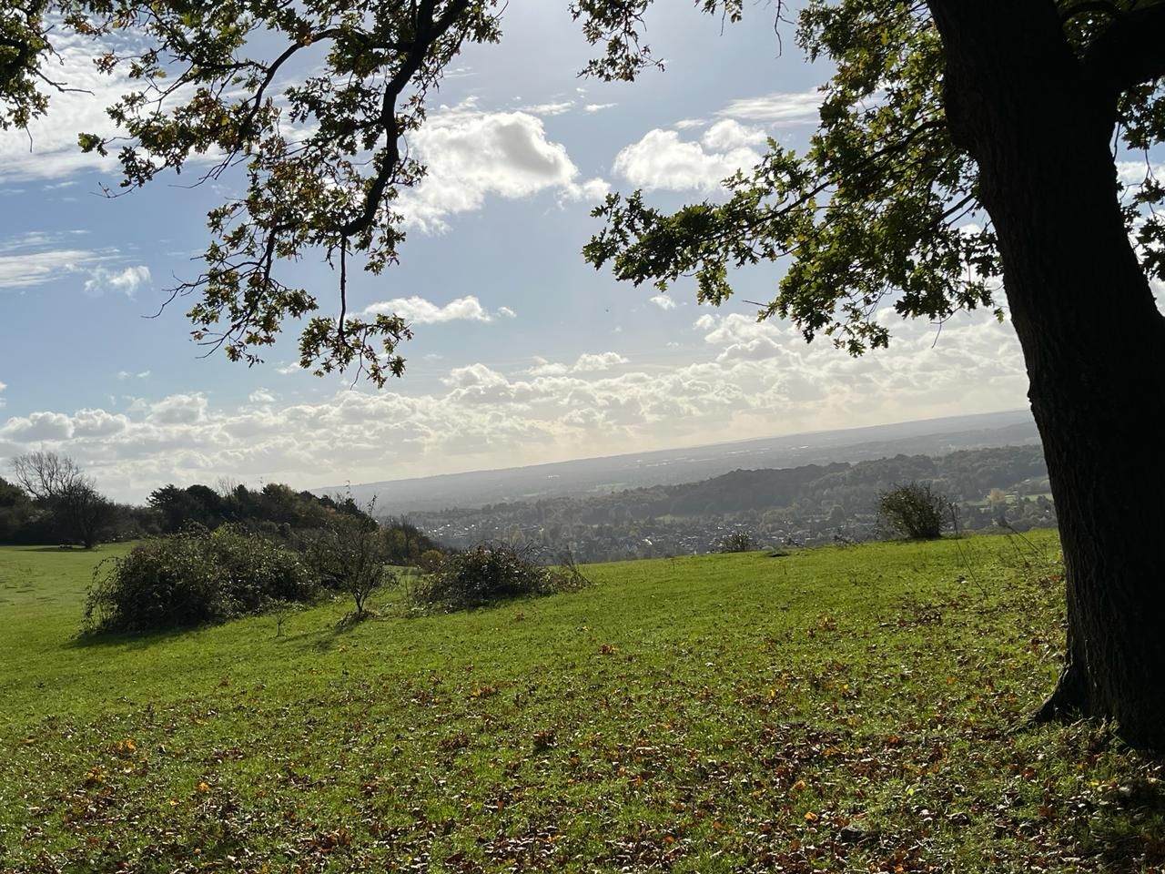View near Colley Hill, North Downs